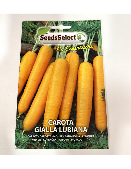Polignano Carrot Seeds for Sale-Seeds Online|Mondo Piante