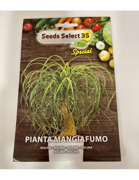 Polignano Carrot Seeds for Sale-Seeds Online|Mondo Piante