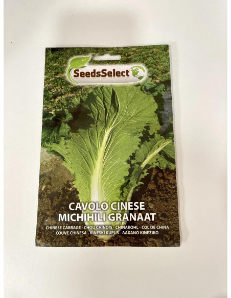 Chinese Cabbage Seeds for Sale-Seeds Online | Mondo Piante