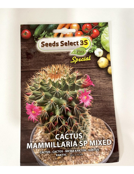 Vendita Semi Cactus Mammillaria-Semi Particolari-Mondo Piante