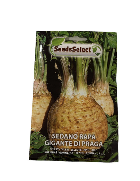 Polignano Carrot Seeds for Sale-Seeds Online|Mondo Piante