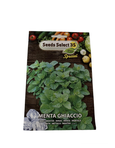 Vendita Semi Menta Ghiaccio-Semi Particolari-Mondo Piante