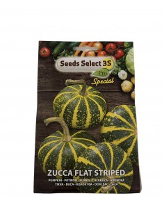 Semi Zucca Flat Striped