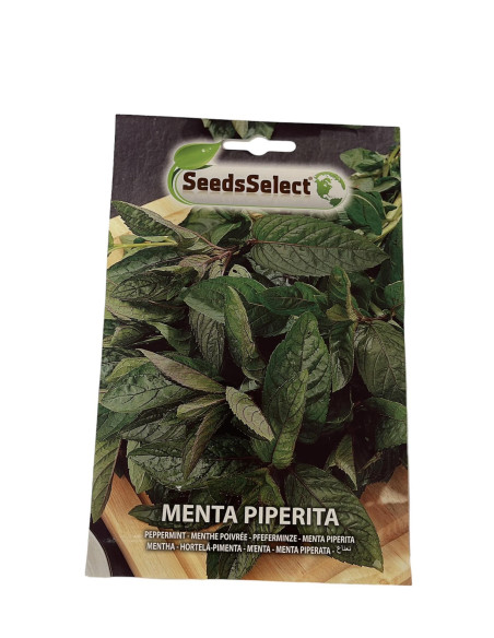 Vendita Semi Menta Piperita-Semi Particolari-Mondo Piante