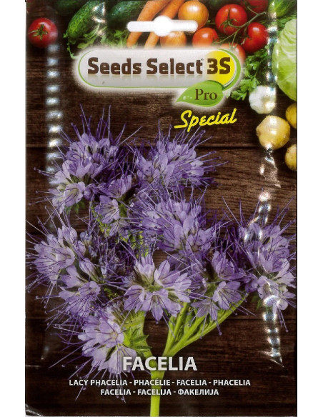 Vendita Semi della Facelia -Semi Particolari Online|Mondo Piante