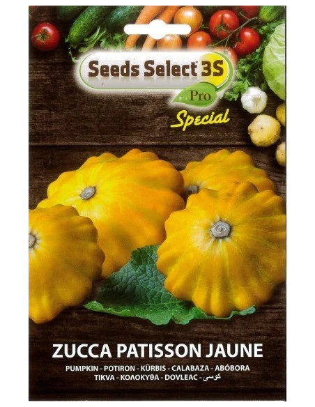 Vendita Semi di Zucca Patisson Jaune-Semi Particolari|Mondo Piante