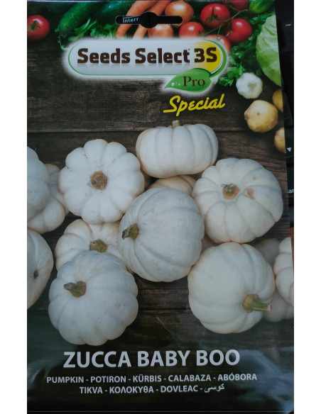 Vendita Semi di Zucca Baby boo-Semi Particolari|Mondo Piante