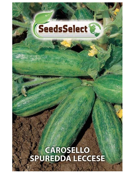 Vendita Semi di Carosello Spuredda Leccese-Semi Orto | Mondo Piante