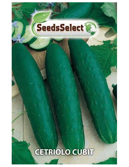 Vendita Semi di Cetriolo Cubit-Semi per Orto OnLine | Mondo Piante
