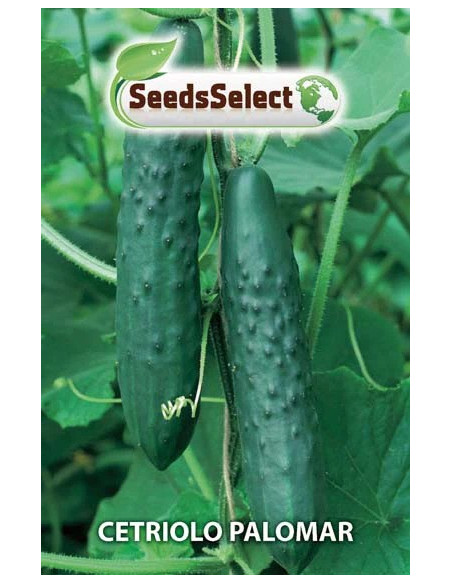 Vendita Semi di Cetriolo Palomar-Semi per Orto OnLine | Mondo Piante