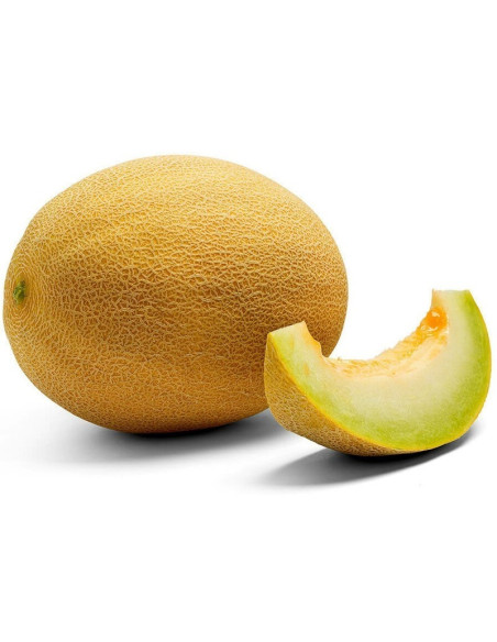 Vendita Semi Melone Ananas-Semi Orto OnLine | Mondo Piante