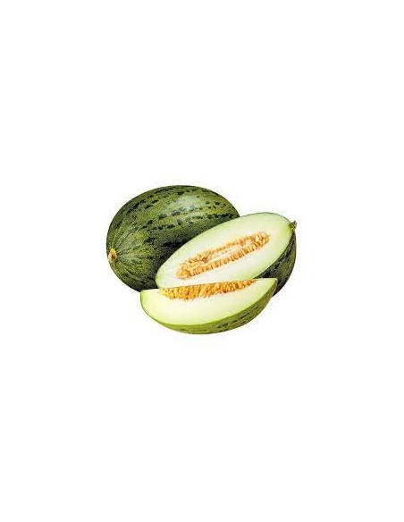 Vendita Semi Melone Piel de Sapo-Semi Orto OnLine | Mondo Piante