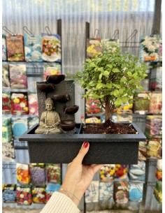 Bonsai Buddha con cascata +... 2