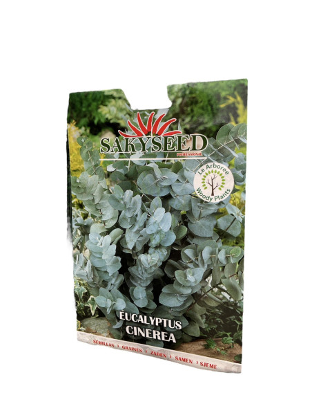Vendita Semi di Eucalyptus Cinerea-Semi Particolari|Mondo Piante
