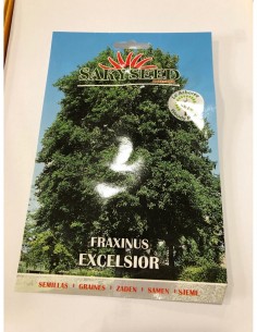 Semi di Fraxinus Excelsior