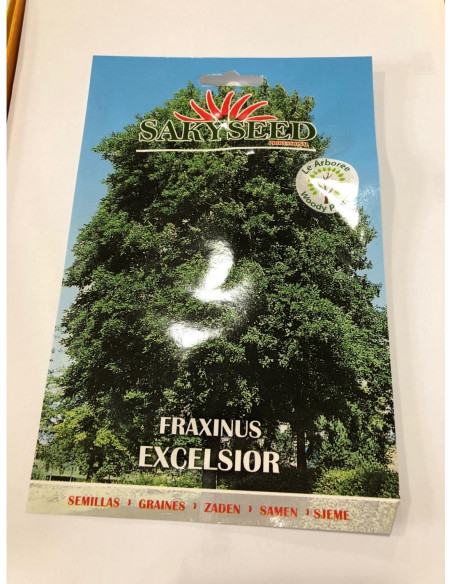 Vendita Semi di Fraxinus Excelsior-Semi Particolari|Mondo Piante