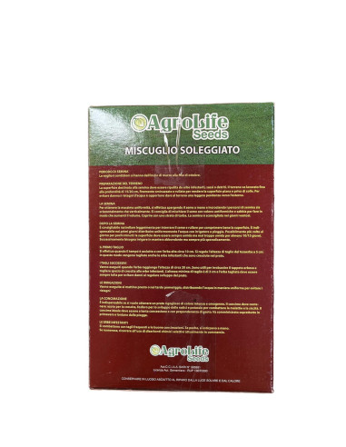 Pepper Seeds for Sale-Seeds Online | Mondo Piante