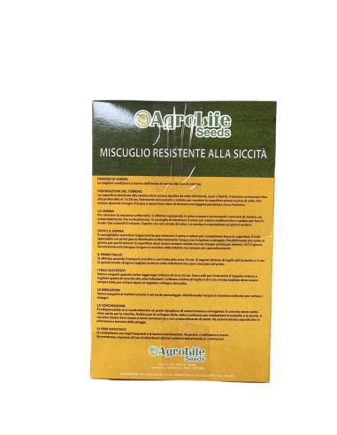 Vendita Miscuglio resistente alla siccità Online|Vivaio Mondo Piante