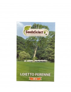 Loietto perenne 1kg