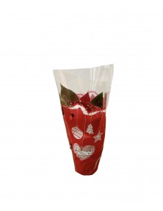 copy of Dipladenia Plant 2