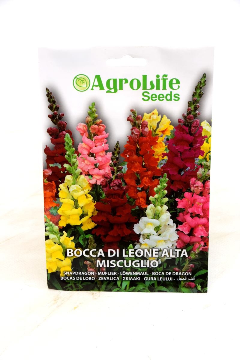 Semi Bocca Di Leone Nana Multicolor - Pianta Perenne Per Giardino E Balcone