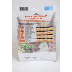Lion Mouth Seeds 2