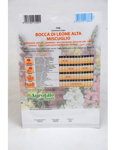 Vendita Semi di Bocca Di Leone-Semi Fiori OnLine|Mondo Piante