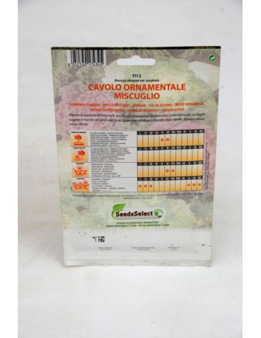 Vendita Semi Cavolo Ornamentale-Semi Fiori OnLine|Mondo Piante