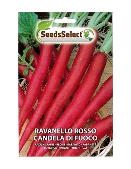 Vendita Semi di Ravanello Candela di Fuoco-Semi Orto|Mondo Piante