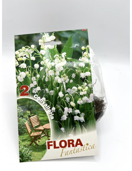 Vendita OnLine Bulbi di Convallaria-Bulbi da fiore|Vivaio Mondo Piante