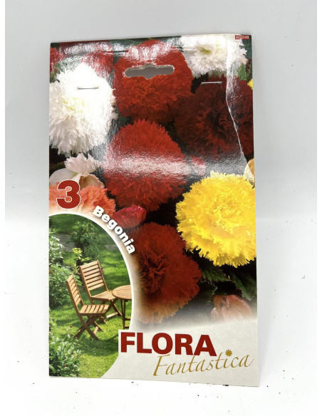 Vendita OnLine Bulbi di Begonia - Bulbi da fiore|Vivaio Mondo Piante