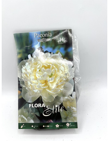 Vendita OnLine Bulbi di Peonia-Bulbi da fiore|Vivaio Mondo Piante