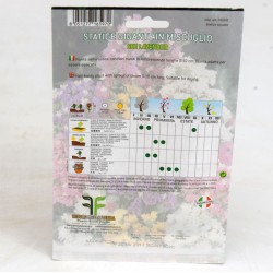 Statice Seeds 2