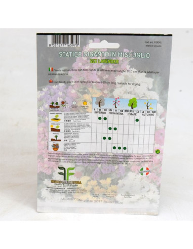 Vendita Semi di Statice-Semi Fiori OnLine|Mondo Piante