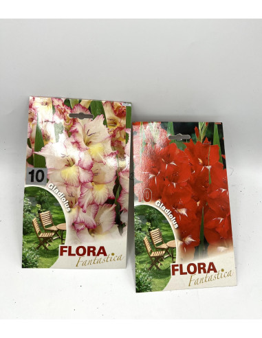 Vendita OnLine Bulbi di Lilium-Bulbi da fiore|Vivaio Mondo Piante