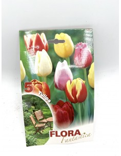 copy of Dimorfoteca Seeds 2