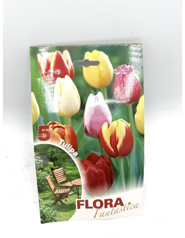 Vendita OnLine Bulbi di Tulipano - Bulbi da fiore|Vivaio Mondo Piante