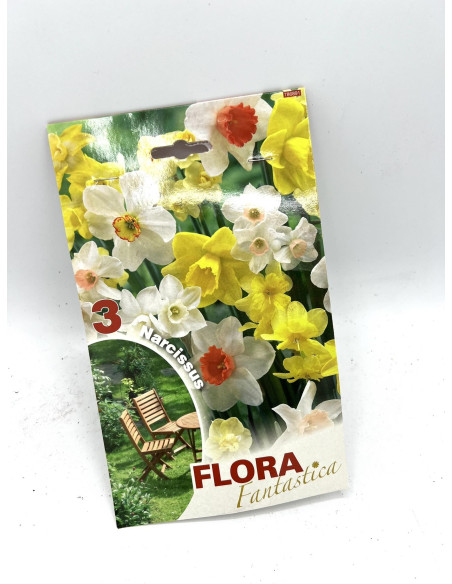 Vendita OnLine Bulbi di Narciso-Bulbi da fiore|Vivaio Mondo Piante