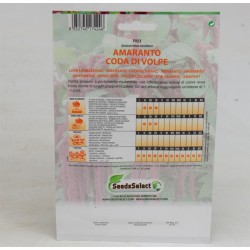 Semi di Amaranto 2