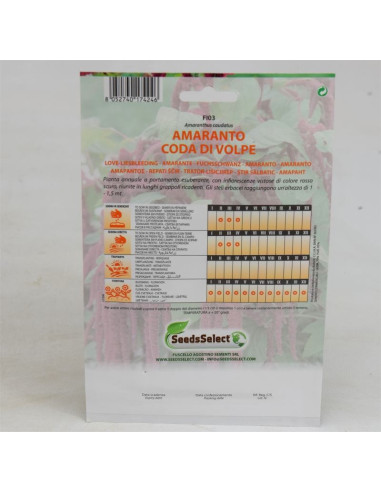 Amaranto Seeds for Sale-Seeds Online | Mondo Piante