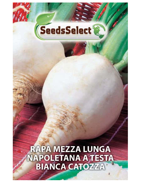 Vendita Semi Rapa mezza lunga napoletana - Semi per Orto |Mondo Piante