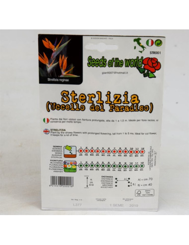 Vendita Sterlizia (Uccello del paradiso)-Semi Particolari|Mondo Piante