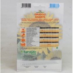 Semi Di Girasole Gigante 2