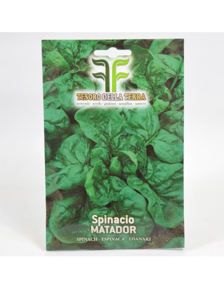 Vendita Semi di Spinaci gigante d'inverno-Semi per Orto|Mondo Piante