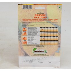 Semi Di Girasole Sun Gold 2