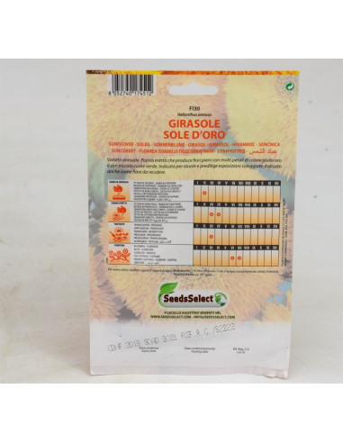 Vendita Semi di Girasole Sun Gold-Semi Fiori OnLine|Mondo Piante