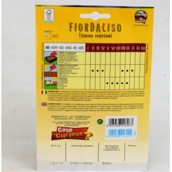 Semi Di Fiordaliso Mix colori 2