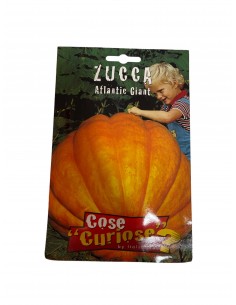 Semi Zucca Atlantic Giant