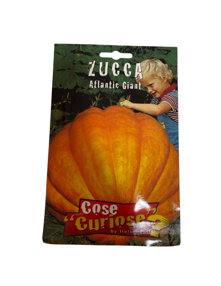 Vendita Semi di Zucca Atlantic Giant-Semi per Orto | Mondo Piante