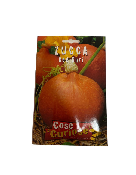 Vendita Semi di Zucca Red Kuri-Semi per Orto Online | Mondo Piante